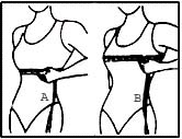 Bra Measurement