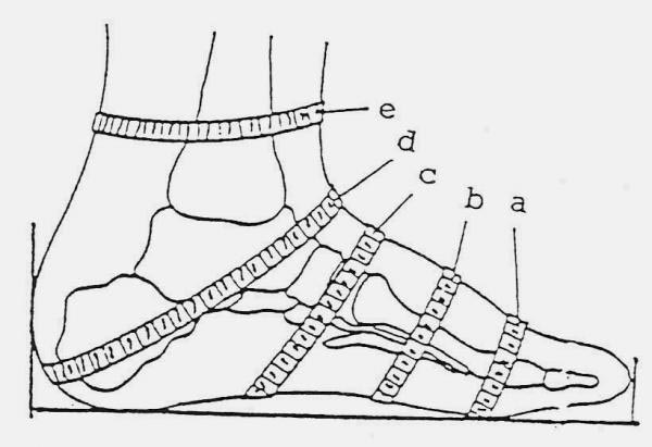 Foot Measurement Chart