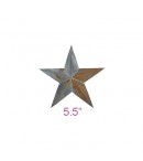 dress form Irregular Rustic Barn Star (5.5", 102-5.5)